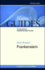 Mary Shelley's Frankenstein