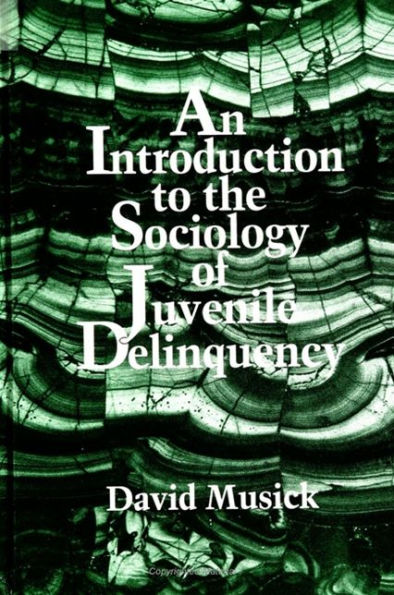 An Introduction to the Sociology of Juvenile Delinquency