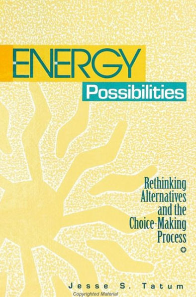 Energy Possibilities: Rethinking Alternatives and the Choice-Making Process / Edition 1