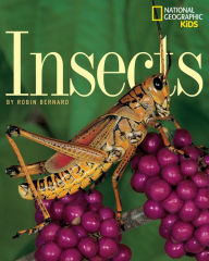 Title: Insects, Author: Robin Bernard