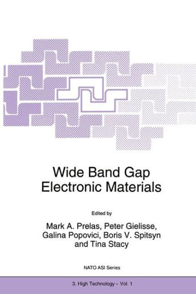Wide Band Gap Electronic Materials / Edition 1