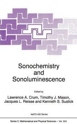 Sonochemistry and Sonoluminescence / Edition 1