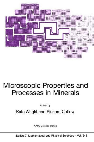 Microscopic Properties and Processes in Minerals / Edition 1