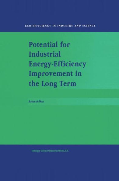 Potential for Industrial Energy-Efficiency Improvement in the Long Term / Edition 1