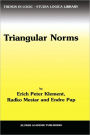 Triangular Norms