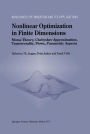 Nonlinear Optimization in Finite Dimensions: Morse Theory, Chebyshev Approximation, Transversality, Flows, Parametric Aspects / Edition 1