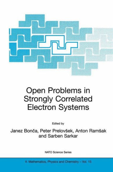 Open Problems in Strongly Correlated Electron Systems / Edition 1