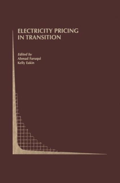 Electricity Pricing in Transition / Edition 1