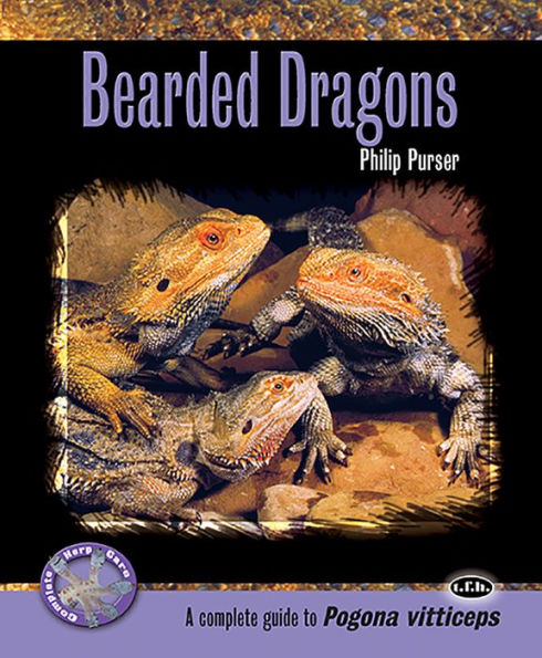 Bearded Dragons: A Complete Guide to Pogona Vitticeps
