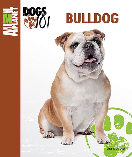 Bulldog