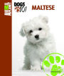 Maltese