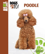 Title: Poodle, Author: Carol Frischmann