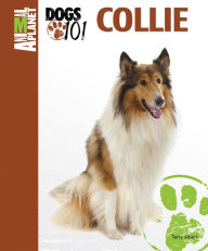 Title: Collie, Author: Terry Albert