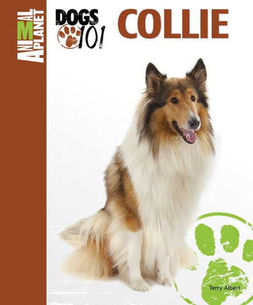 Collie