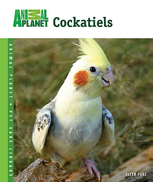 Cockatiels