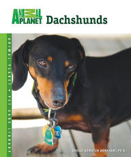 Title: Dachshunds, Author: Sheila Webster Boneham Ph.D.