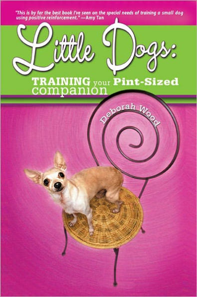 Little Dogs Training Your Pint Size Companion