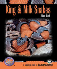 Title: King & Milk Snakes, Author: Adam Black
