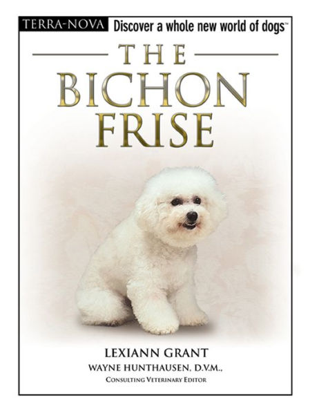 The Bichon Frise