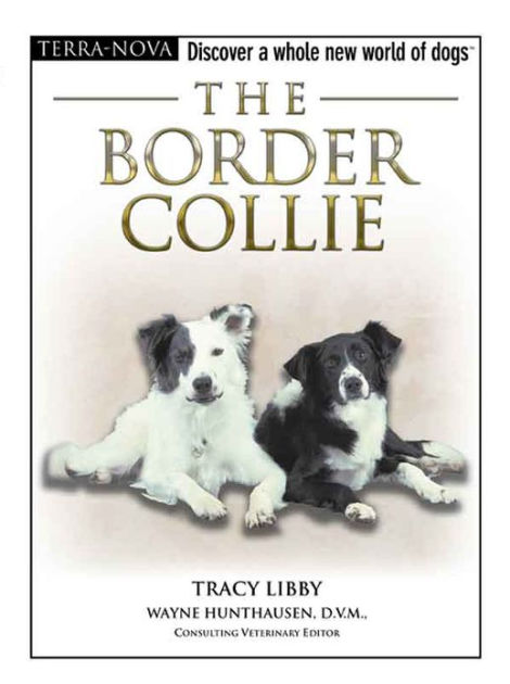 The Border Collie by Tracy Libby | eBook | Barnes & Noble®