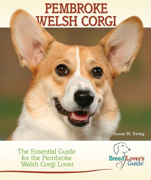 Pembroke Welsh Corgi: The Essential Guide for the Pembroke Welsh Corgi Lover