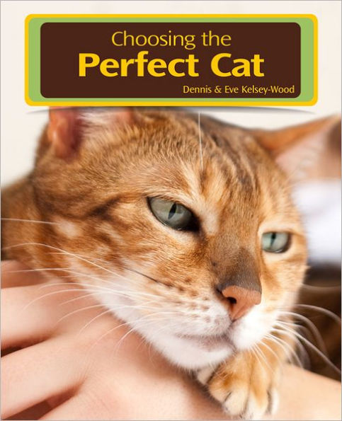 Choosing the Perfect Cat