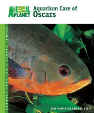 Title: Aquarium Care of Oscars, Author: Neal Pronek