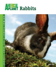 Title: Rabbits, Author: Sue Fox