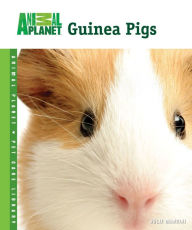Title: Guinea Pigs, Author: Julie Mancini