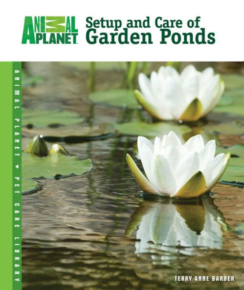 Setup and Care of Garden Ponds