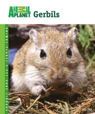 Title: Gerbils, Author: Sue Fox