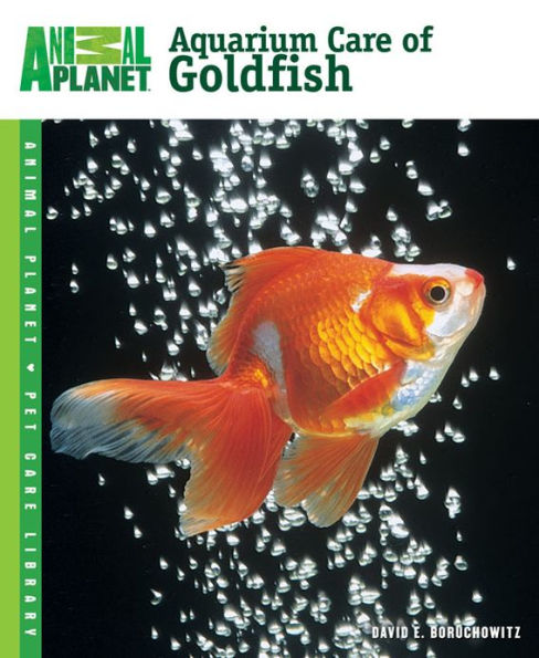 Aquarium Care of Goldfish