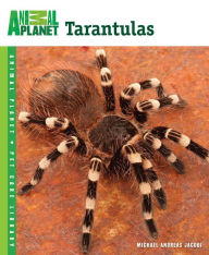 Title: Tarantulas, Author: Michael Andreas Jacobi