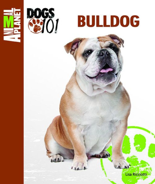 Bulldog