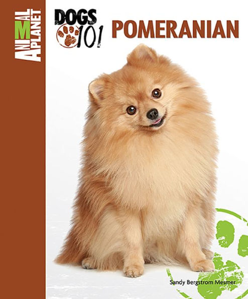 Pomeranian