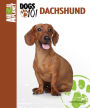 Dachshund