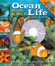 Title: Ocean Life Anemone to Zebra Fish Book & DVD, Author: Cynthia Stierle