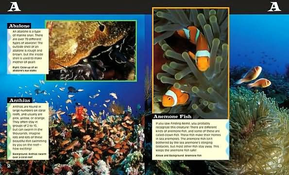 Ocean Life Anemone to Zebra Fish Book & DVD