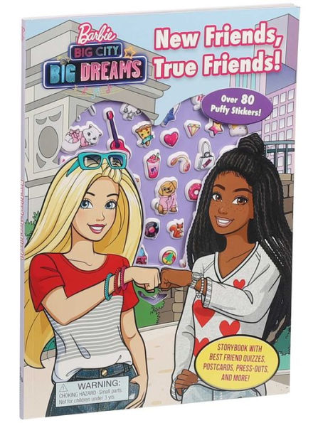 Barbie: Big City Big Dreams: New Friends, True Friends