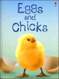 Title: Eggs and Chicks (Level 1), Author: Fiona Patchett