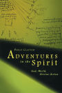 Adventures in the Spirit: God, World, Divine Action