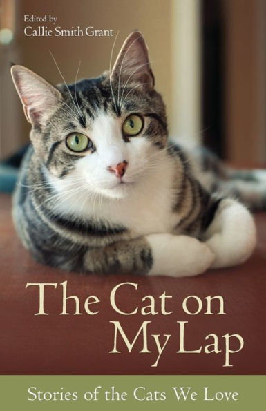 the Cat on My Lap: Stories of Cats We Love