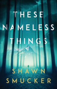 Title: These Nameless Things, Author: Shawn Smucker