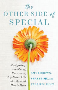 Title: The Other Side of Special: Navigating the Messy, Emotional, Joy-Filled Life of a Special Needs Mom, Author: Amy J Brown