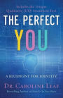 The Perfect You: A Blueprint for Identity