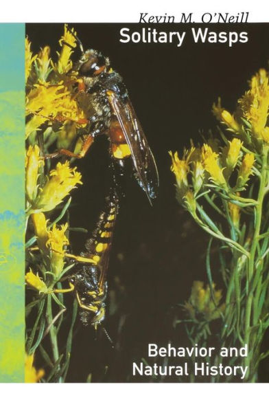 Solitary Wasps: Behavior and Natural History