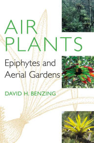 Title: Air Plants: Epiphytes and Aerial Gardens, Author: David H. Benzing