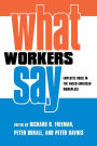 What Workers Say: Employee Voice in the Anglo-American Workplace / Edition 1