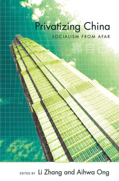 Privatizing China: Socialism from Afar / Edition 1