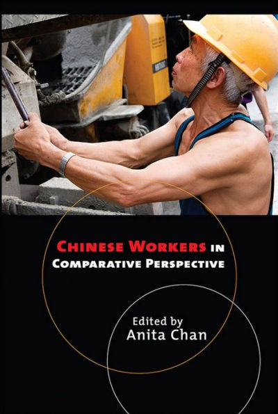 Chinese Workers Comparative Perspective